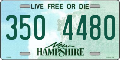 NH license plate 3504480