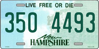 NH license plate 3504493