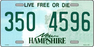 NH license plate 3504596