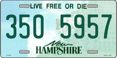 NH license plate 3505957