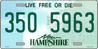 NH license plate 3505963