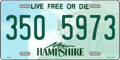 NH license plate 3505973