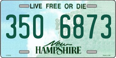 NH license plate 3506873