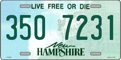 NH license plate 3507231