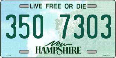 NH license plate 3507303