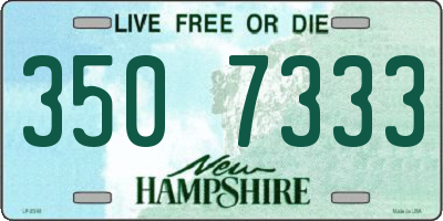 NH license plate 3507333