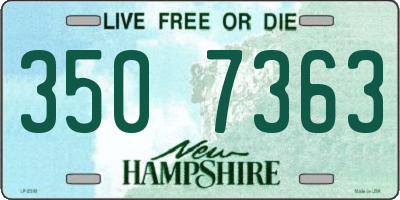 NH license plate 3507363