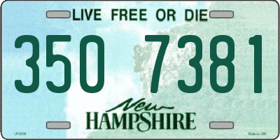NH license plate 3507381
