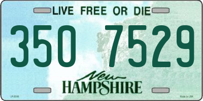 NH license plate 3507529