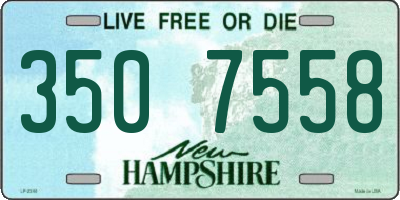 NH license plate 3507558