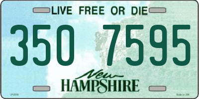 NH license plate 3507595