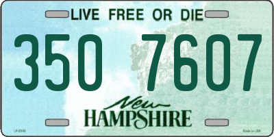 NH license plate 3507607