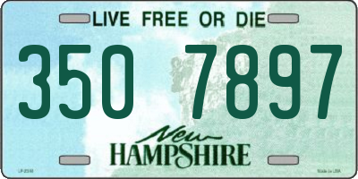 NH license plate 3507897