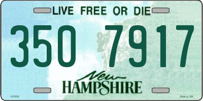 NH license plate 3507917