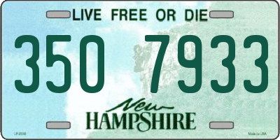 NH license plate 3507933