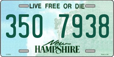 NH license plate 3507938