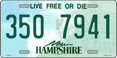 NH license plate 3507941