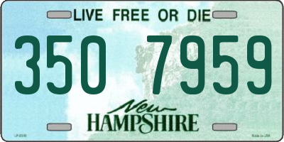NH license plate 3507959
