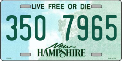 NH license plate 3507965