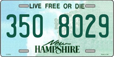 NH license plate 3508029