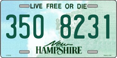 NH license plate 3508231