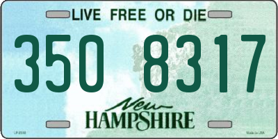 NH license plate 3508317