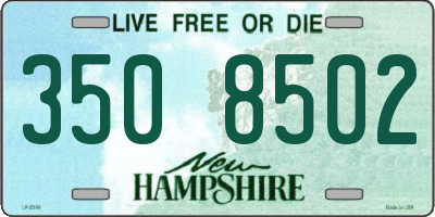 NH license plate 3508502
