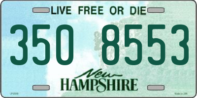 NH license plate 3508553