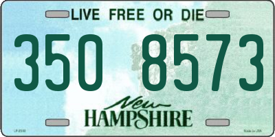 NH license plate 3508573
