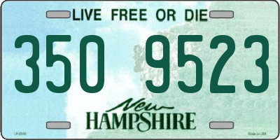 NH license plate 3509523