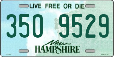 NH license plate 3509529