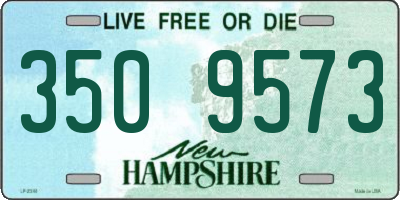 NH license plate 3509573