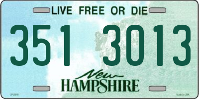 NH license plate 3513013