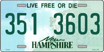 NH license plate 3513603