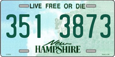 NH license plate 3513873