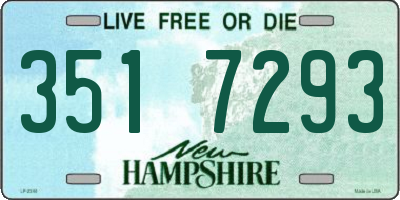NH license plate 3517293