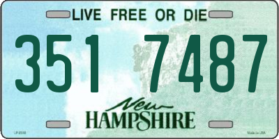 NH license plate 3517487