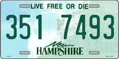 NH license plate 3517493
