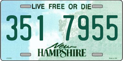 NH license plate 3517955