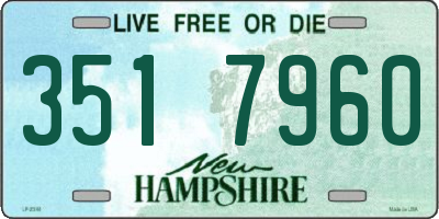 NH license plate 3517960