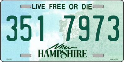 NH license plate 3517973
