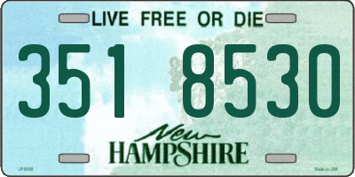 NH license plate 3518530