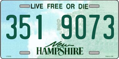 NH license plate 3519073
