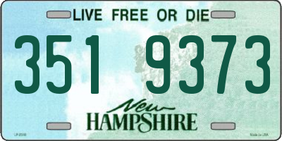 NH license plate 3519373