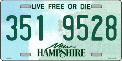 NH license plate 3519528