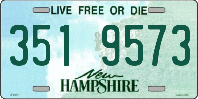 NH license plate 3519573