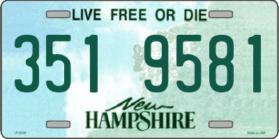 NH license plate 3519581