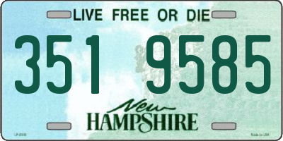 NH license plate 3519585