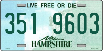 NH license plate 3519603