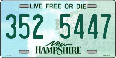 NH license plate 3525447